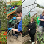 Gardening Galore