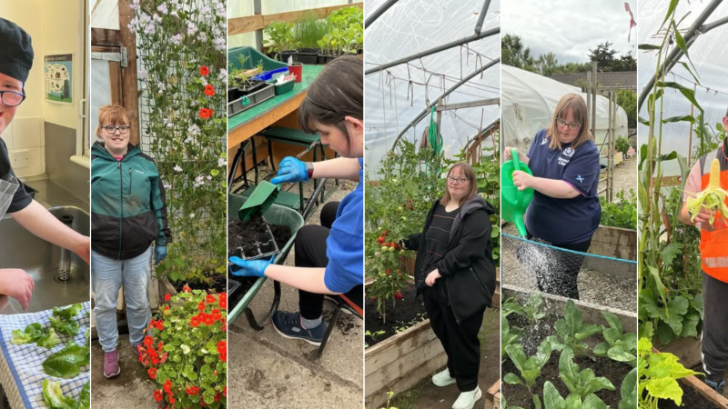 Gardening galore!