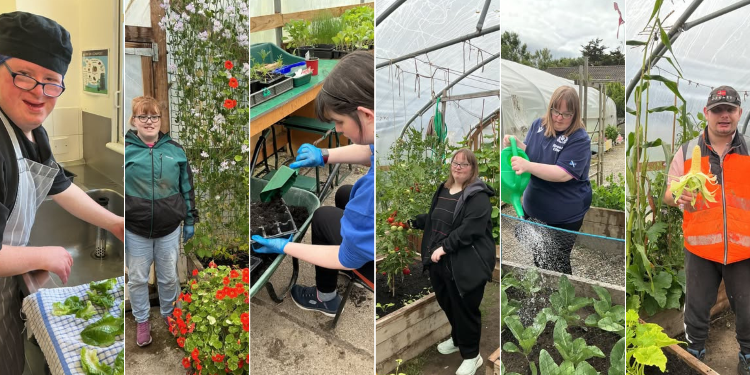 Gardening galore!